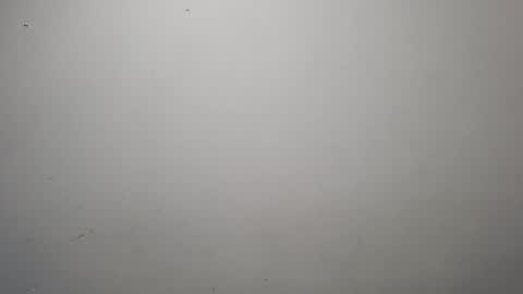 Snapshot of jeisonhoz chatting on 13, 10, 2025 jeisonfit online show from 13, 10, 2025