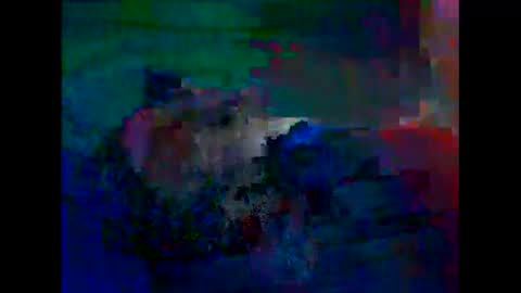 jejemotard online show from 19, 11, 2025