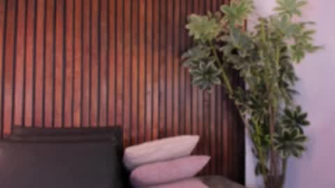     online show from 6, 11, 2025