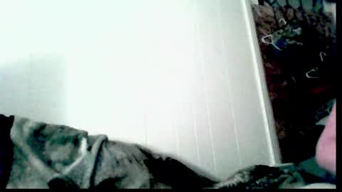 Snapshot of jennyisasquirter chatting on 12, 11, 2025 jennyisasquirter online show from 12, 11, 2025