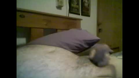 jerkmate6666 online show from 14, 10, 2025