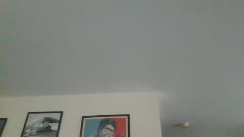 Snapshot of jerseyhammer01 chatting on 28, 12, 2024 Harry online show from 28, 12, 2024