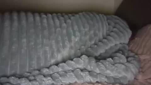 Snapshot of jesica2804 chatting on 11, 2, 2025 jesica2804 online show from 11, 2, 2025