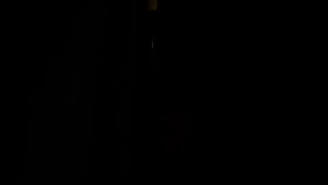 jestersquid89 online show from 13, 9, 2025