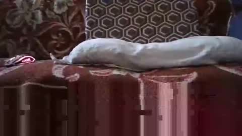 jimmyshelby12 online show from 25, 1, 2025