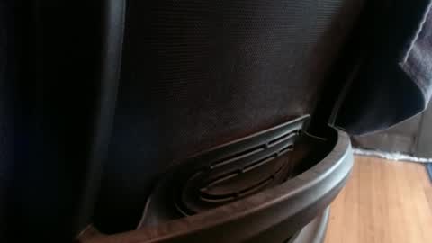 cock model  bathing suit model online show from 1, 12, 2024