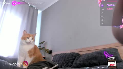 MY NEW INSTA jinny goldy online show from 15, 2, 2026