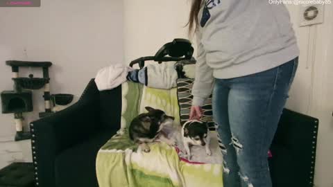 Snapshot of jjjust4fun1985 chatting on 15, 12, 2024 Nicole  Allen online show from 15, 12, 2024