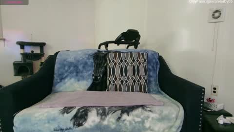 Snapshot of jjjust4fun1985 chatting on 22, 12, 2024 Nicole  Allen online show from 22, 12, 2024