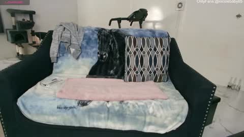 Snapshot of jjjust4fun1985 chatting on 2, 1, 2025 Nicole  Allen online show from 2, 1, 2025