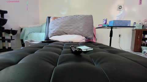 Snapshot of jjjust4fun1985 chatting on 18, 9, 2025 Nicole  Allen online show from 18, 9, 2025