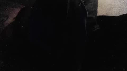 jjohnathan529 online show from 26, 1, 2025