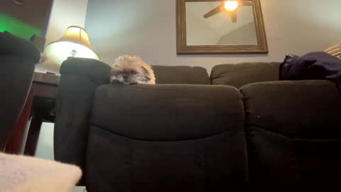 Jimmy online show from 21, 1, 2025