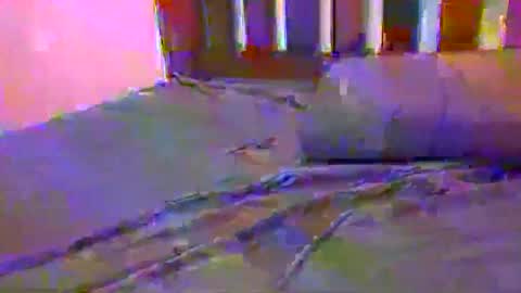 Snapshot of jlrf90 chatting on 17, 2, 2025 tip me online show from 17, 2, 2025