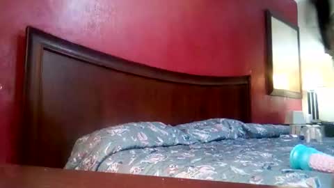 jmbaby online show from 4, 12, 2024