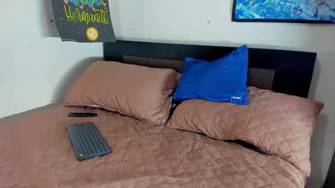 ale online show from 26, 2, 2026