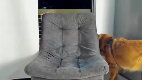 Snapshot of joan_saenz chatting on 9, 1, 2025 JOAN SAENZ online show from 9, 1, 2025