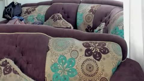 Snapshot of joan_saenz chatting on 17, 1, 2026 JOAN SAENZ online show from 17, 1, 2026