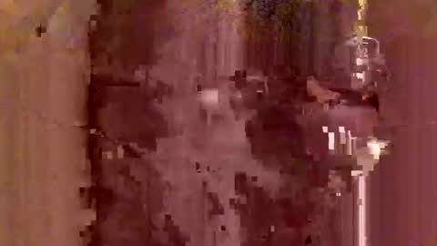 jodlsepp online show from 12, 12, 2024