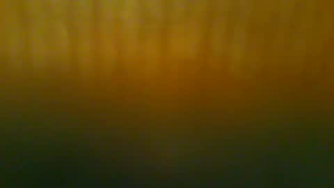 Snapshot of johnnyshung1 chatting on 21, 12, 2025 johnnyshung1 online show from 21, 12, 2025