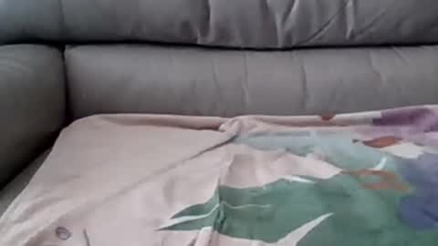 bigger than some online show from 5, 3, 2025