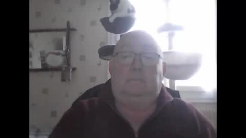 Snapshot of jojo60000529566 chatting on 7, 12, 2024 jojo60000529566 online show from 7, 12, 2024