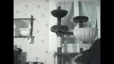 Snapshot of jojo60000529566 chatting on 8, 1, 2025 jojo60000529566 online show from 8, 1, 2025