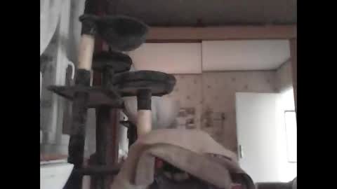 Snapshot of jojo60000529566 chatting on 4, 3, 2025 jojo60000529566 online show from 4, 3, 2025