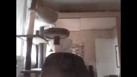 Snapshot of jojo60000529566 chatting on 29, 9, 2025 jojo60000529566 online show from 29, 9, 2025