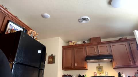 sissy josphine online show from 17, 1, 2025