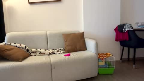 josh_xo online show from 30, 11, 2025