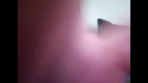 Snapshot of joshinterchecks chatting on 25, 2, 2026 joshinterchecks online show from 25, 2, 2026