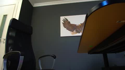 JoshKnight online show from 4, 3, 2025