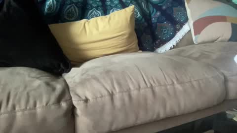 Snapshot of joshperrygoon chatting on 21, 12, 2024 joshperrygoon online show from 21, 12, 2024