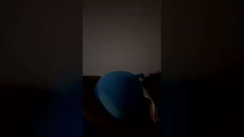 Snapshot of joshua_b11 chatting on 28, 3, 2026 joshua_b11 online show from 28, 3, 2026