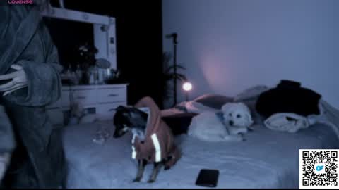 josephine   independent model    online show from 21, 1, 2025