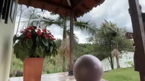 Im Jouliano online show from 15, 11, 2025