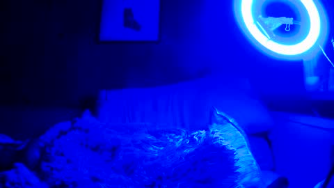 jroge21 online show from 9, 3, 2025