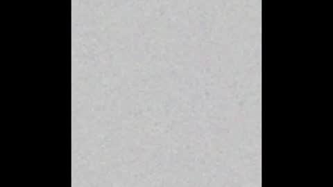 jshepeherdd online show from 13, 2, 2026