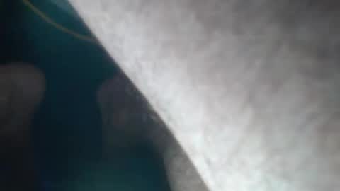 Snapshot of jsmith101410 chatting on 23, 9, 2025 FreshNess online show from 23, 9, 2025