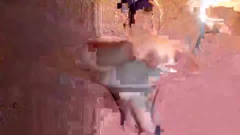 Snapshot of juan575390 chatting on 17, 12, 2024 juan575390 online show from 17, 12, 2024