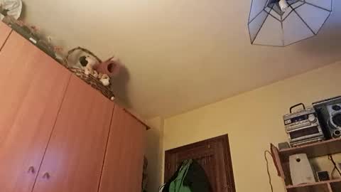 juanka85564456 online show from 29, 1, 2025