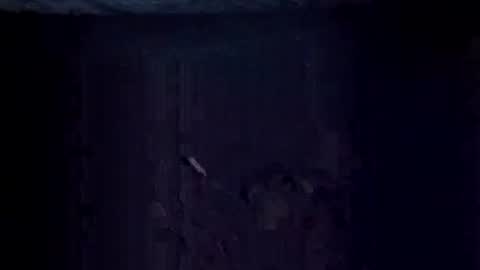 Jugg online show from 20, 12, 2025