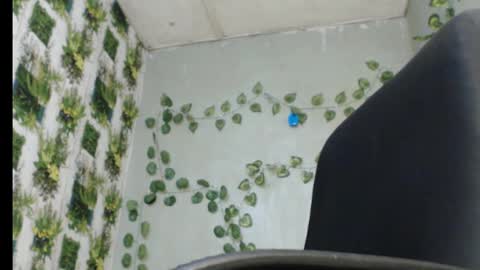 Mariagold online show from 18, 2, 2025