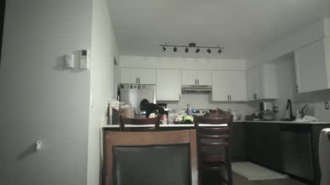 Snapshot of juicysavanah chatting on 5, 12, 2025 Sav online show from 5, 12, 2025