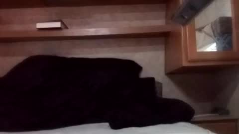 Juish5521 online show from 3, 3, 2025