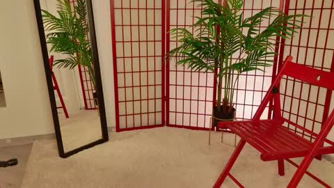 Jules online show from 28, 2, 2026