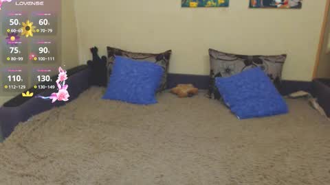 Jul online show from 14, 2, 2026