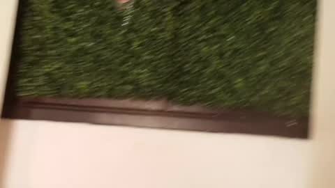 Juli online show from 13, 3, 2026