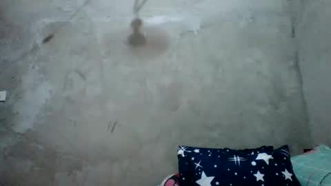 juliett online show from 27, 2, 2026